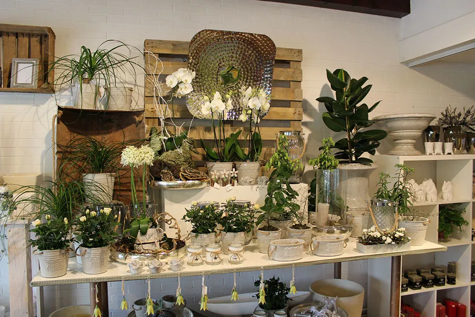 Sudeck Blumen & Gestaltung - Blumen & Pflanzen